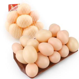 5PCS-Lot Hatching Egg Hen Poultry Hatch Breeding Simulation Fake Plast_1